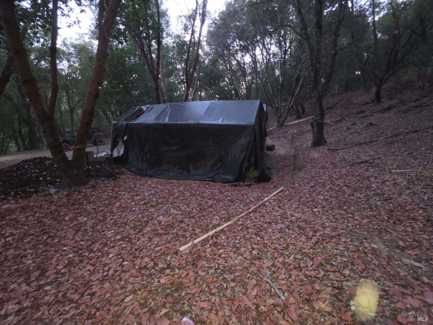 20655 Pigeon Ridge Road Covelo CA 95428
