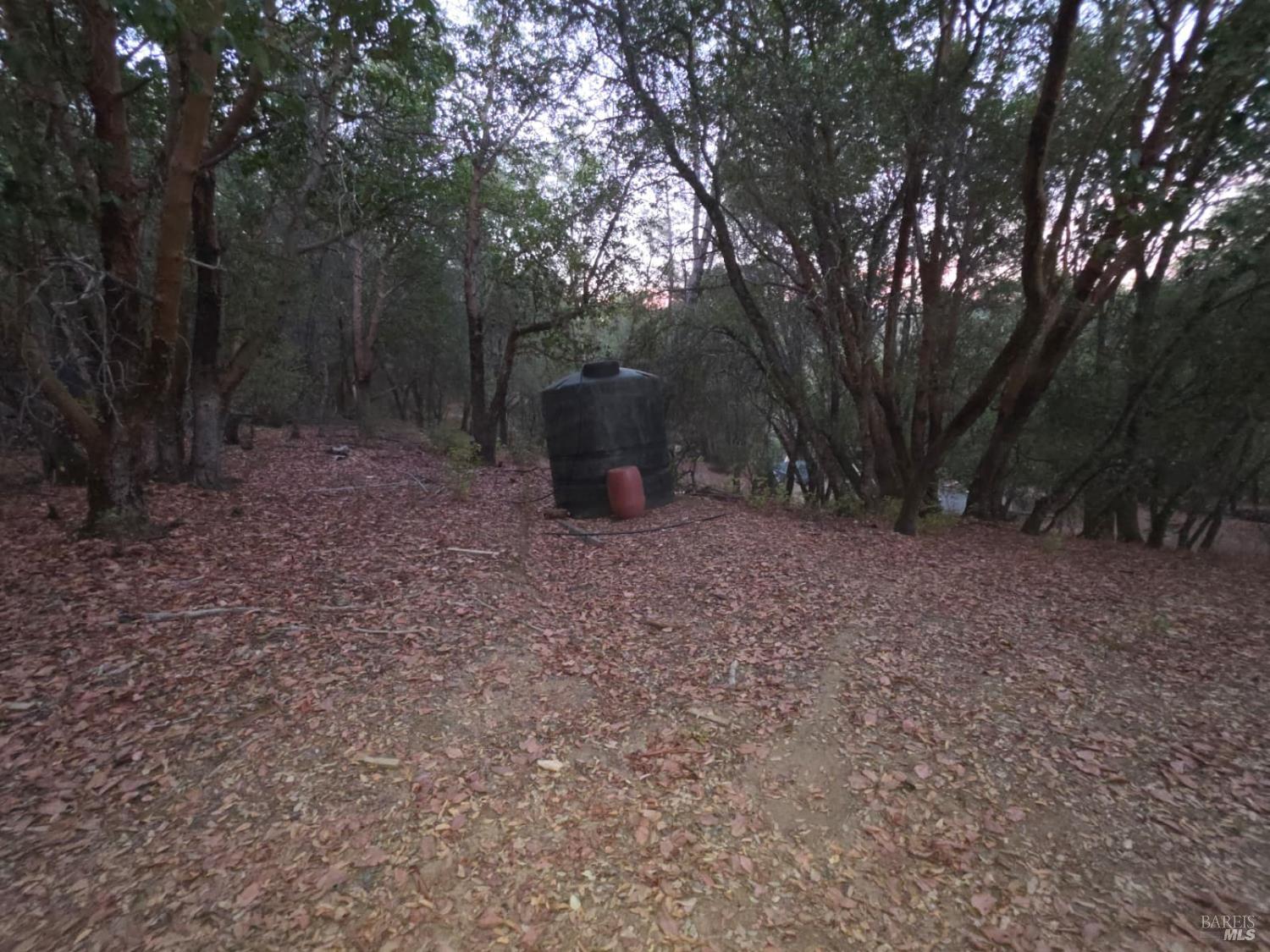 20655 Pigeon Ridge Road Covelo CA 95428