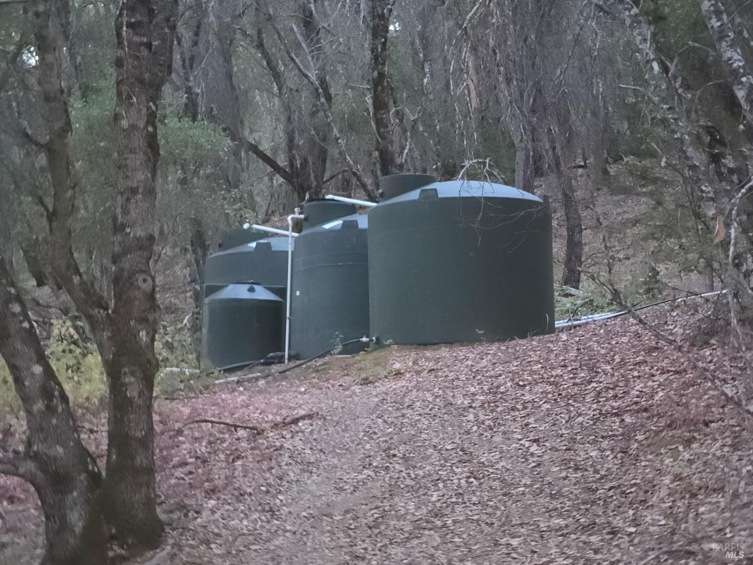 20655 Pigeon Ridge Road Covelo CA 95428
