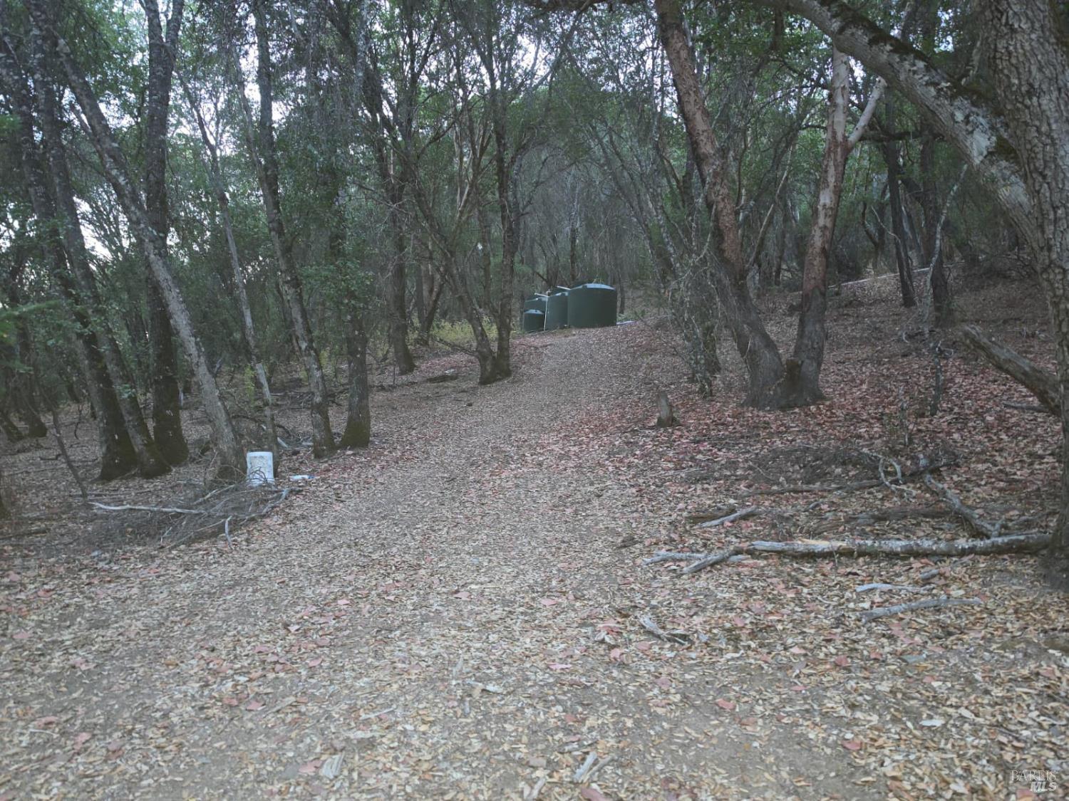 20655 Pigeon Ridge Road Covelo CA 95428