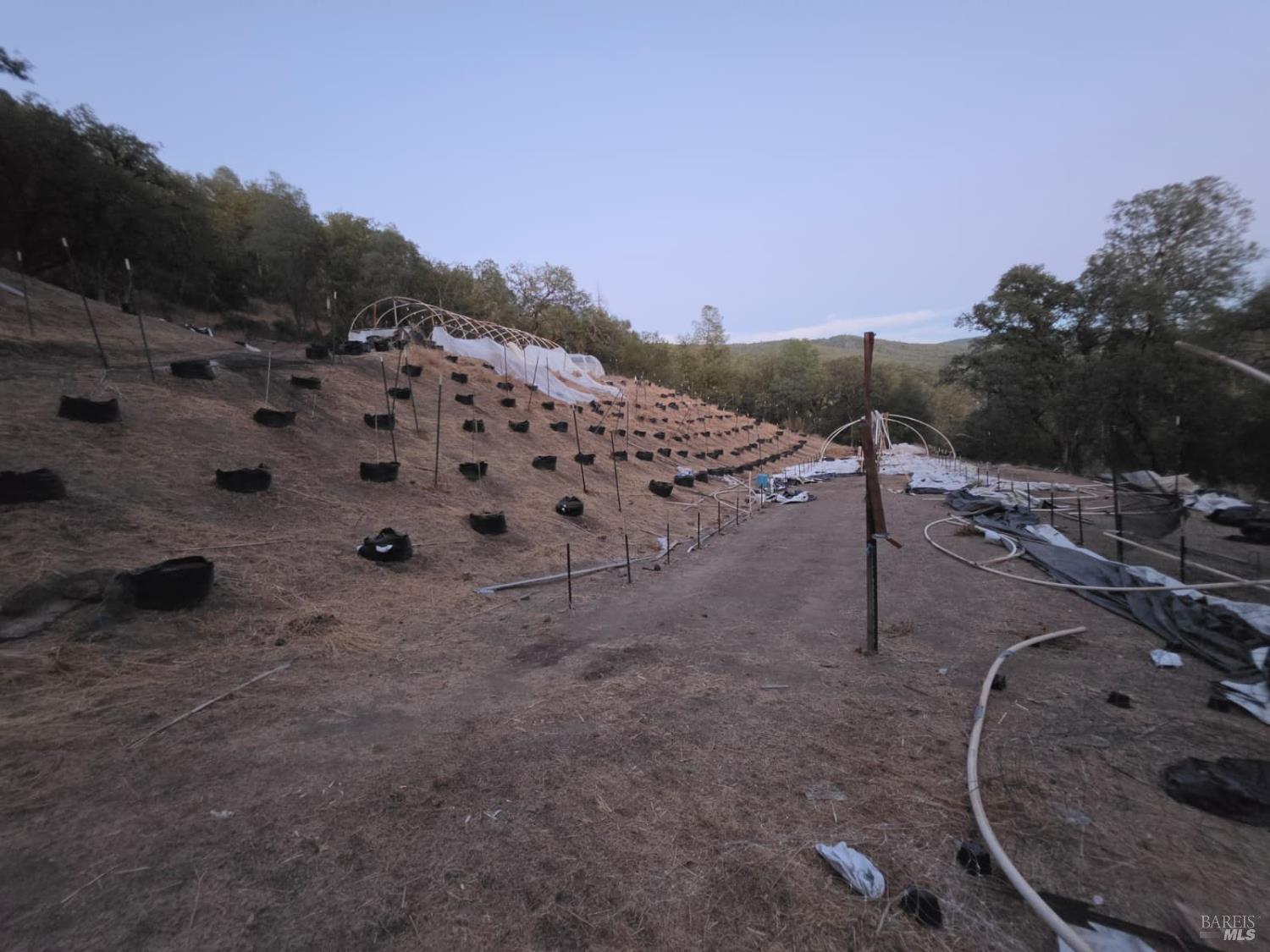 20655 Pigeon Ridge Road Covelo CA 95428