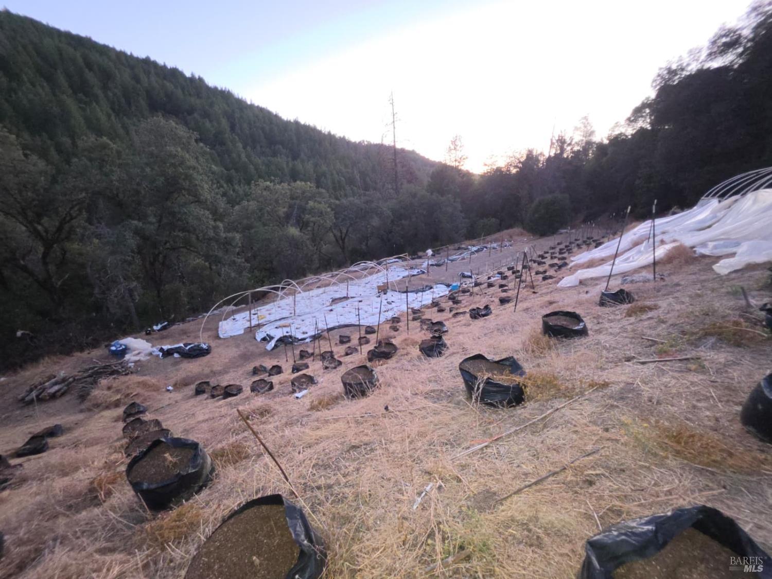 20655 Pigeon Ridge Road Covelo CA 95428