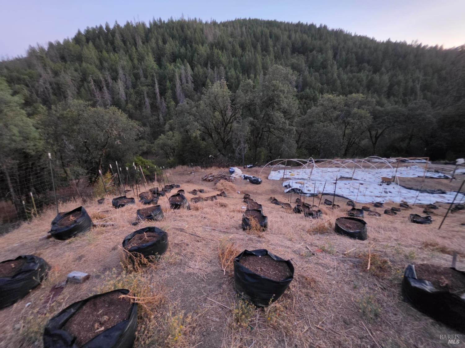20655 Pigeon Ridge Road Covelo CA 95428
