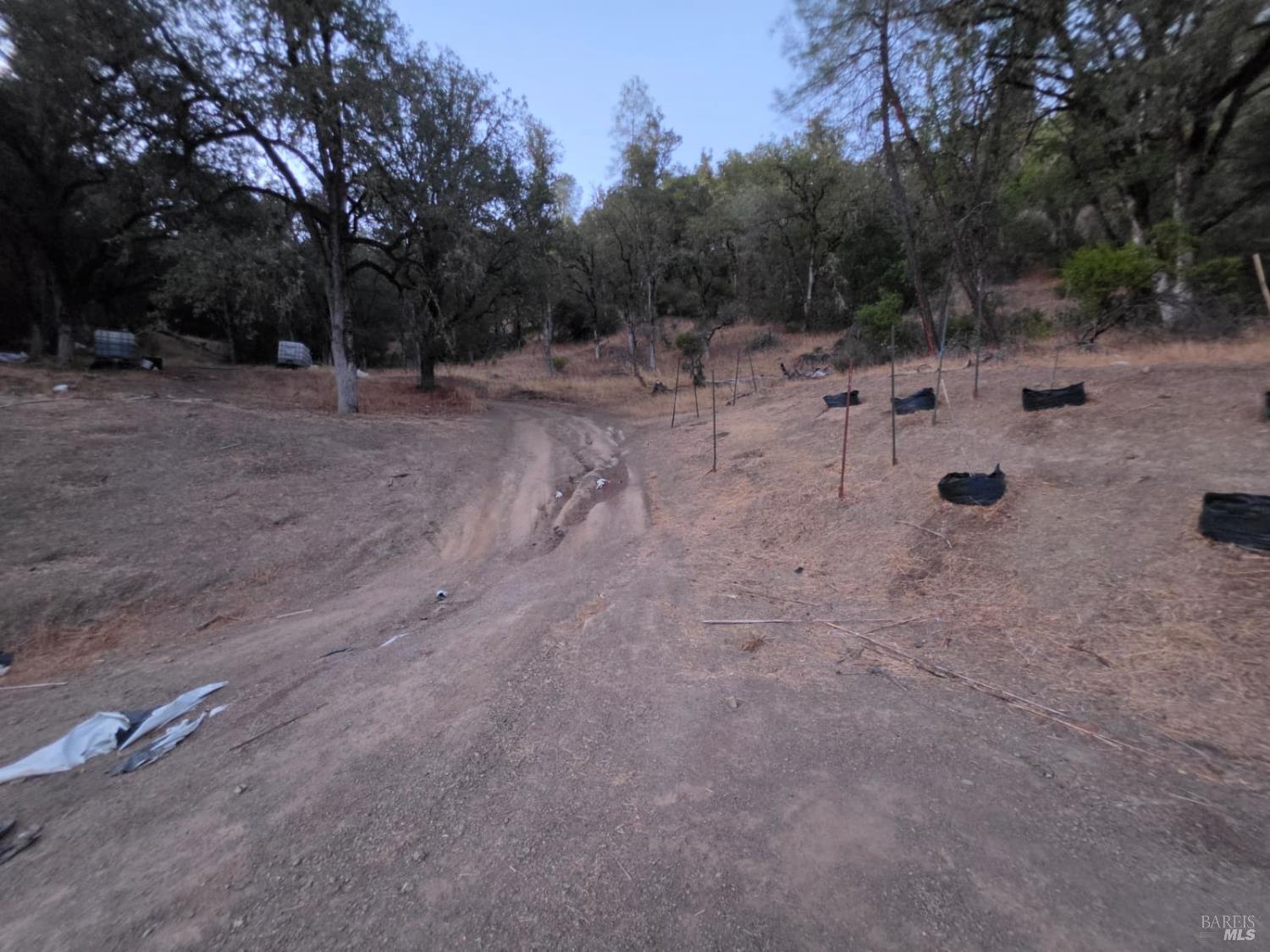 20655 Pigeon Ridge Road Covelo CA 95428