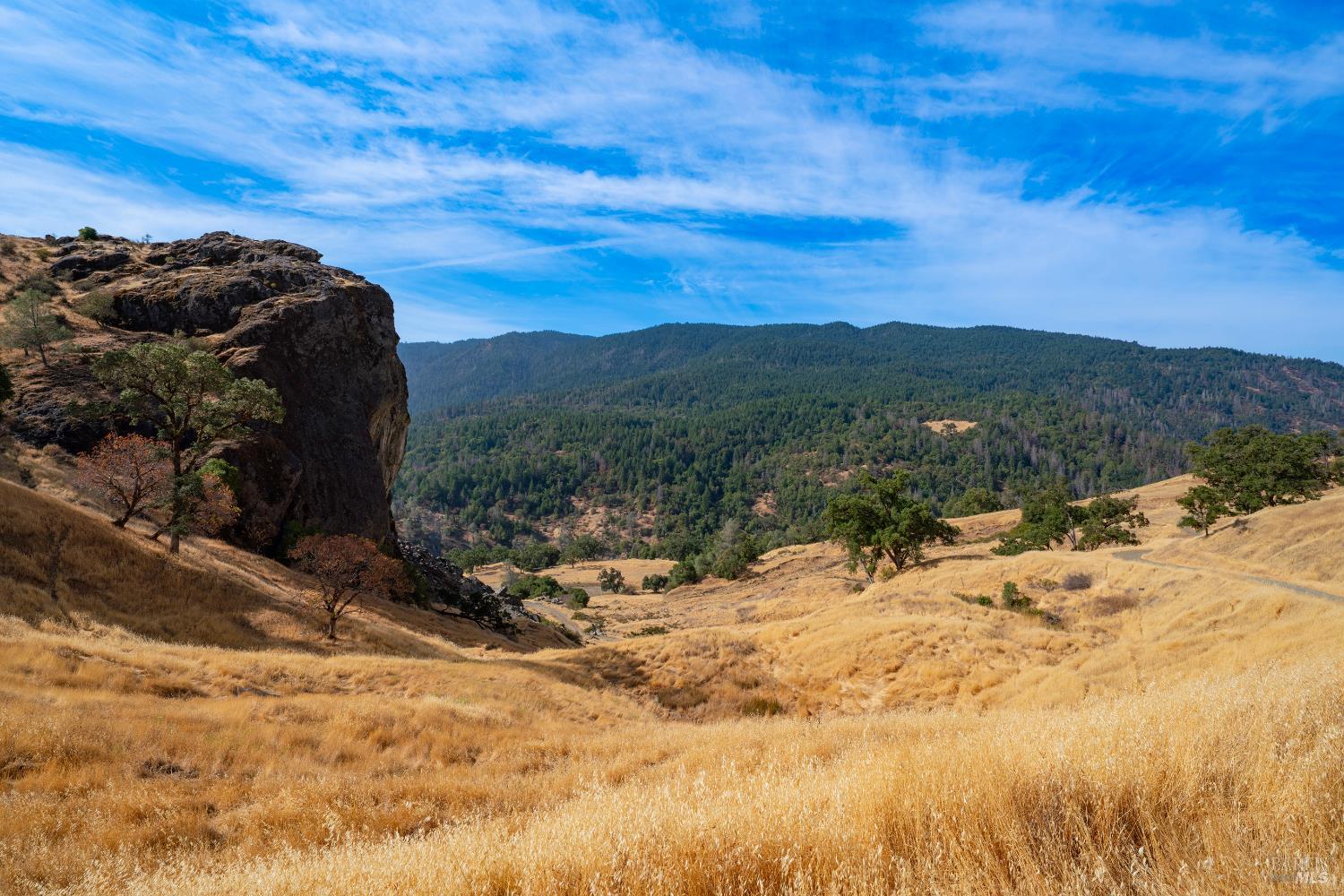 56701 Ca-162 Covelo CA 95428