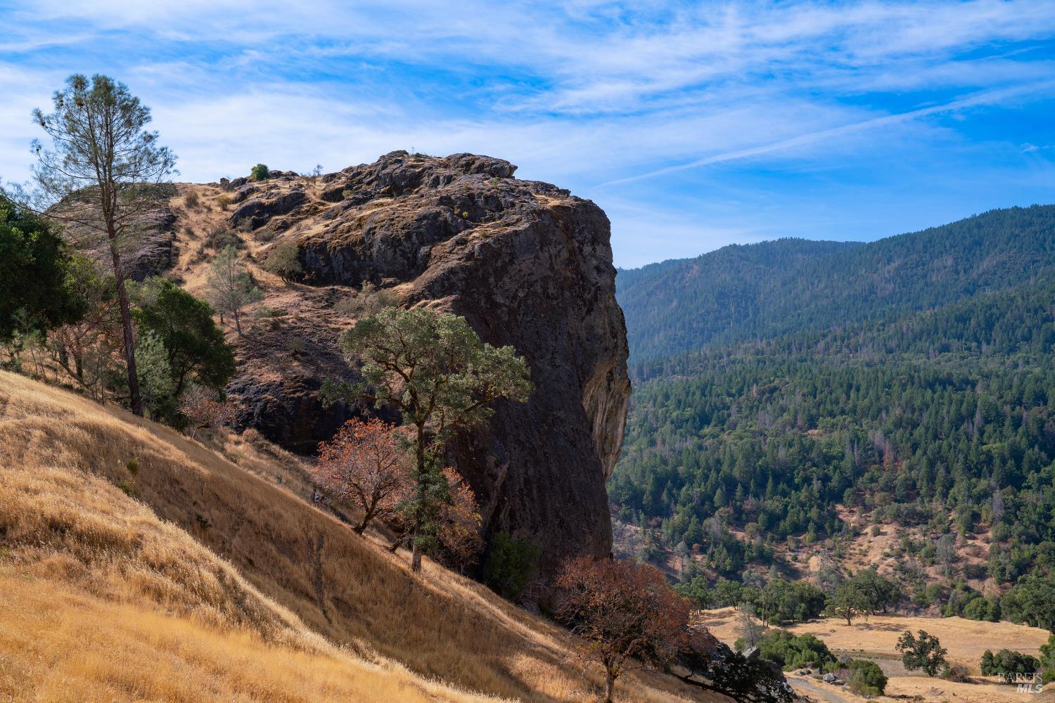 56701 Ca-162 Covelo CA 95428