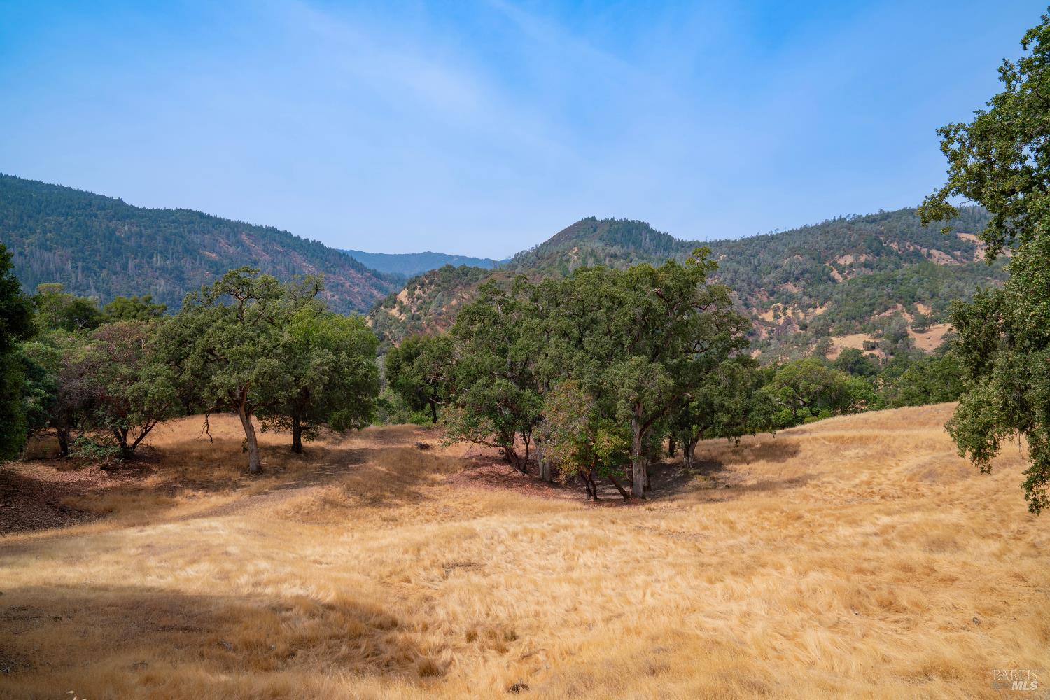 56701 Ca-162 Covelo CA 95428