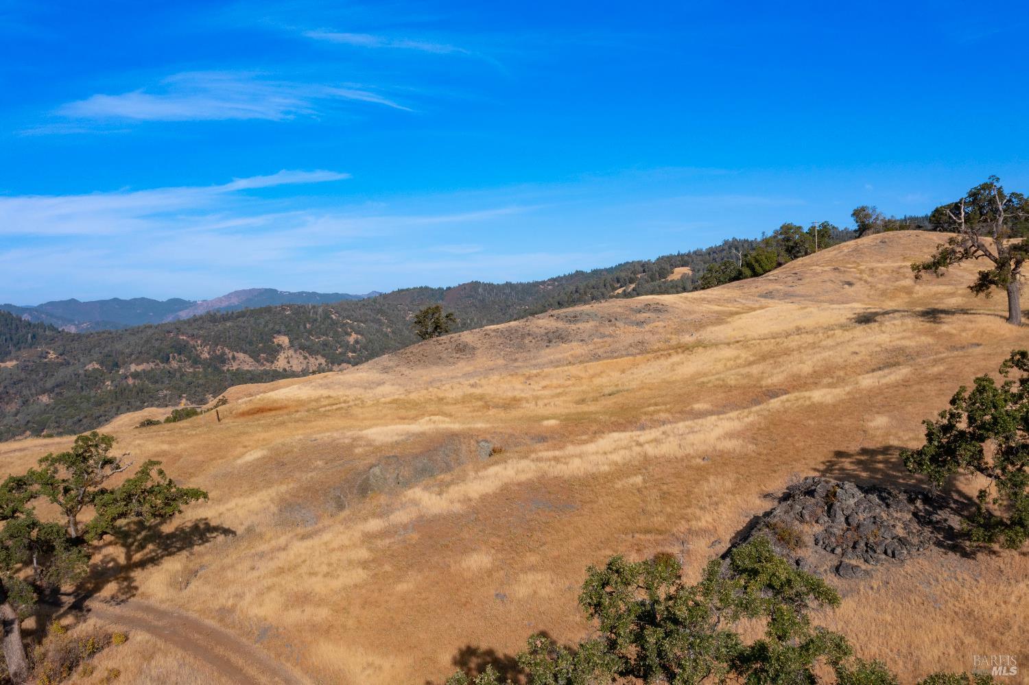 56701 Ca-162 Covelo CA 95428