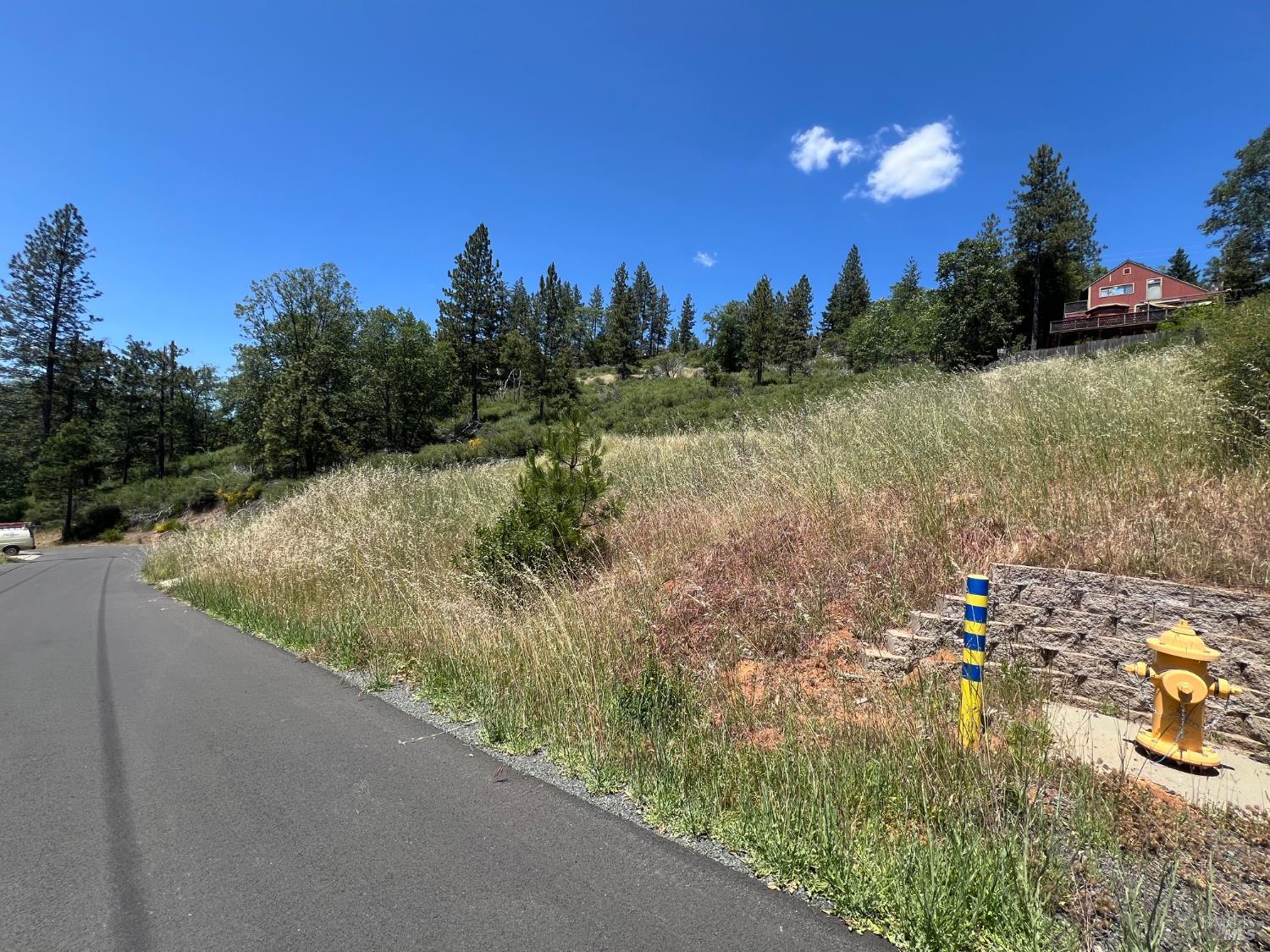 9284 Bleuss Way Cobb CA 95426