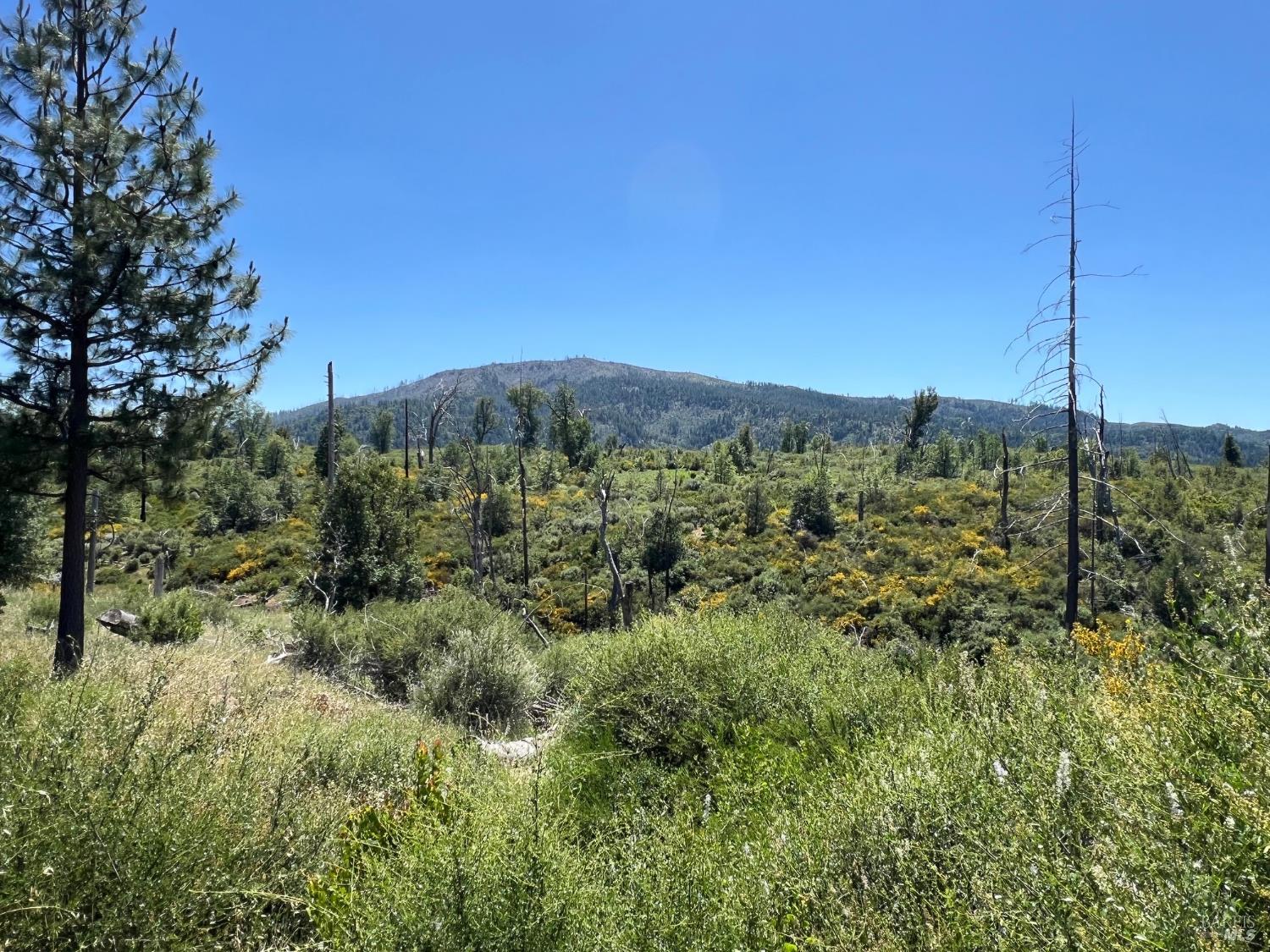 9284 Bleuss Way Cobb CA 95426