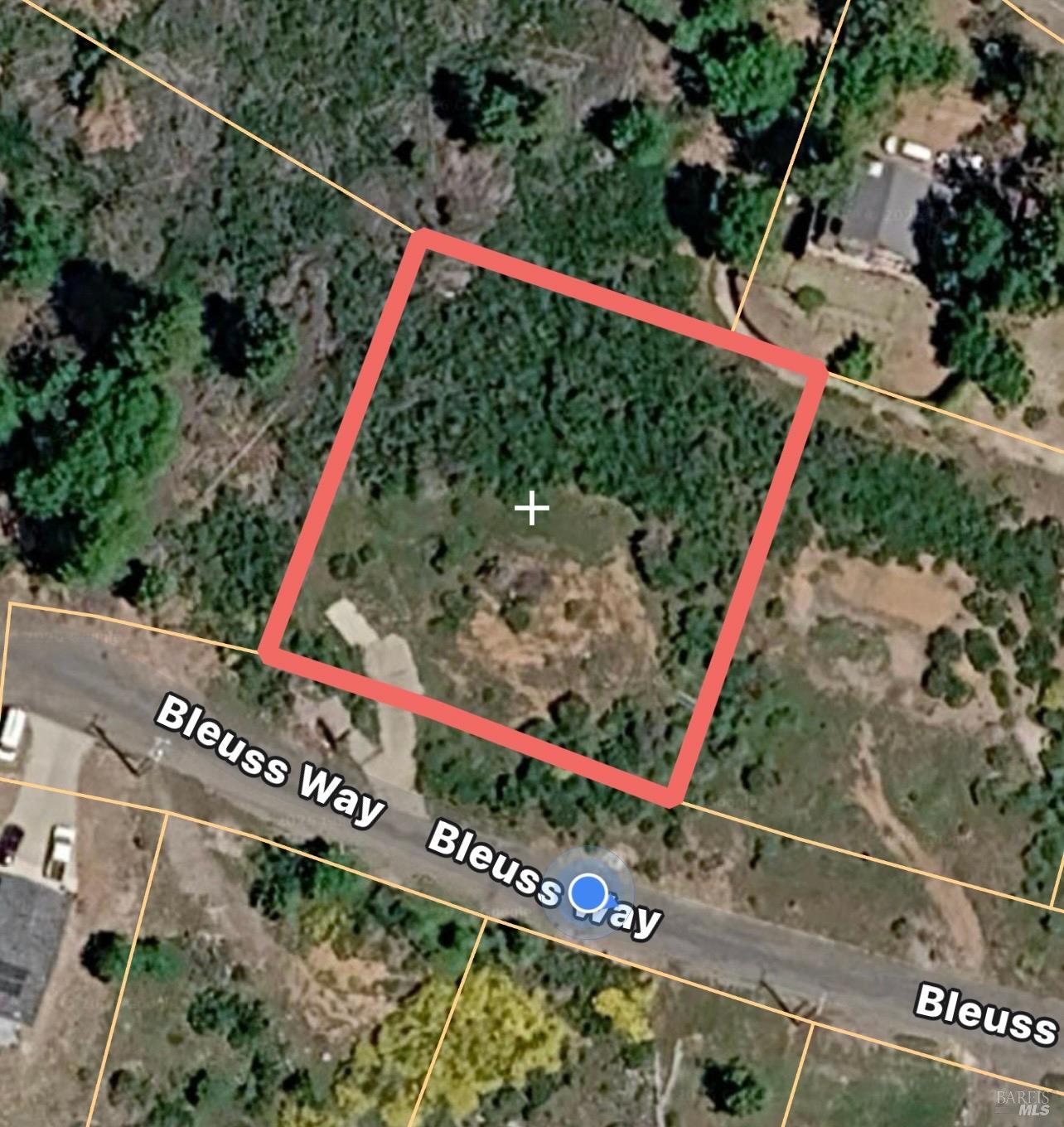 9284 Bleuss Way Cobb CA 95426