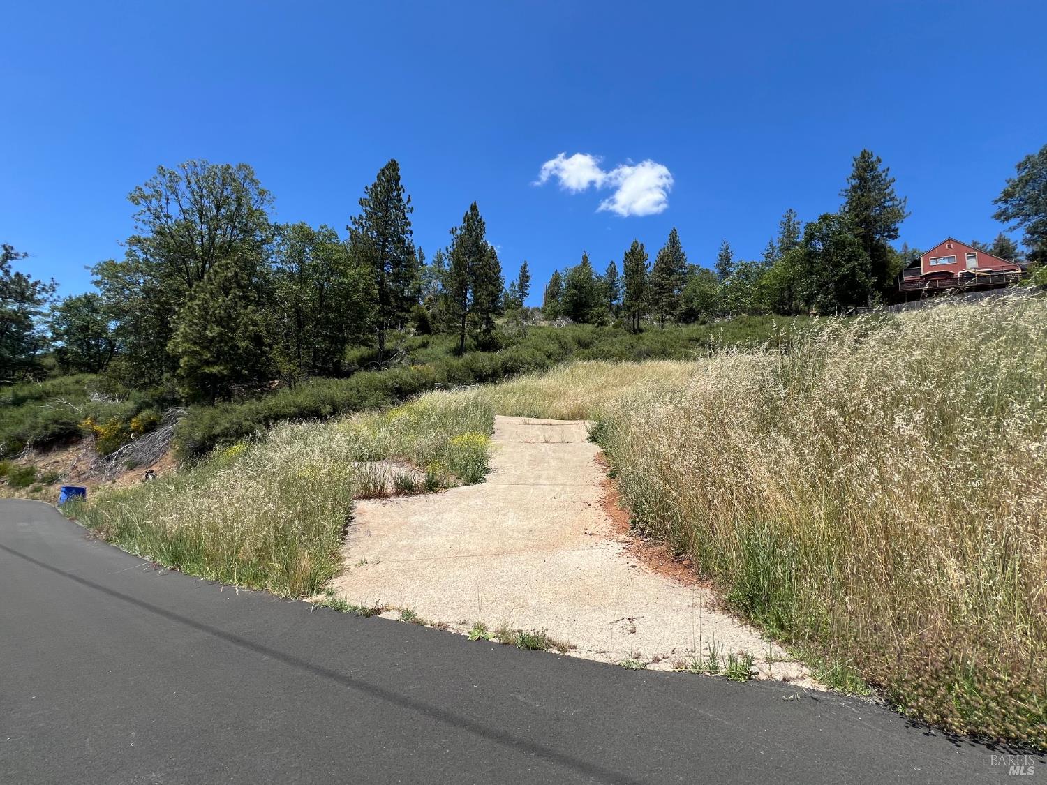 9284 Bleuss Way Cobb CA 95426