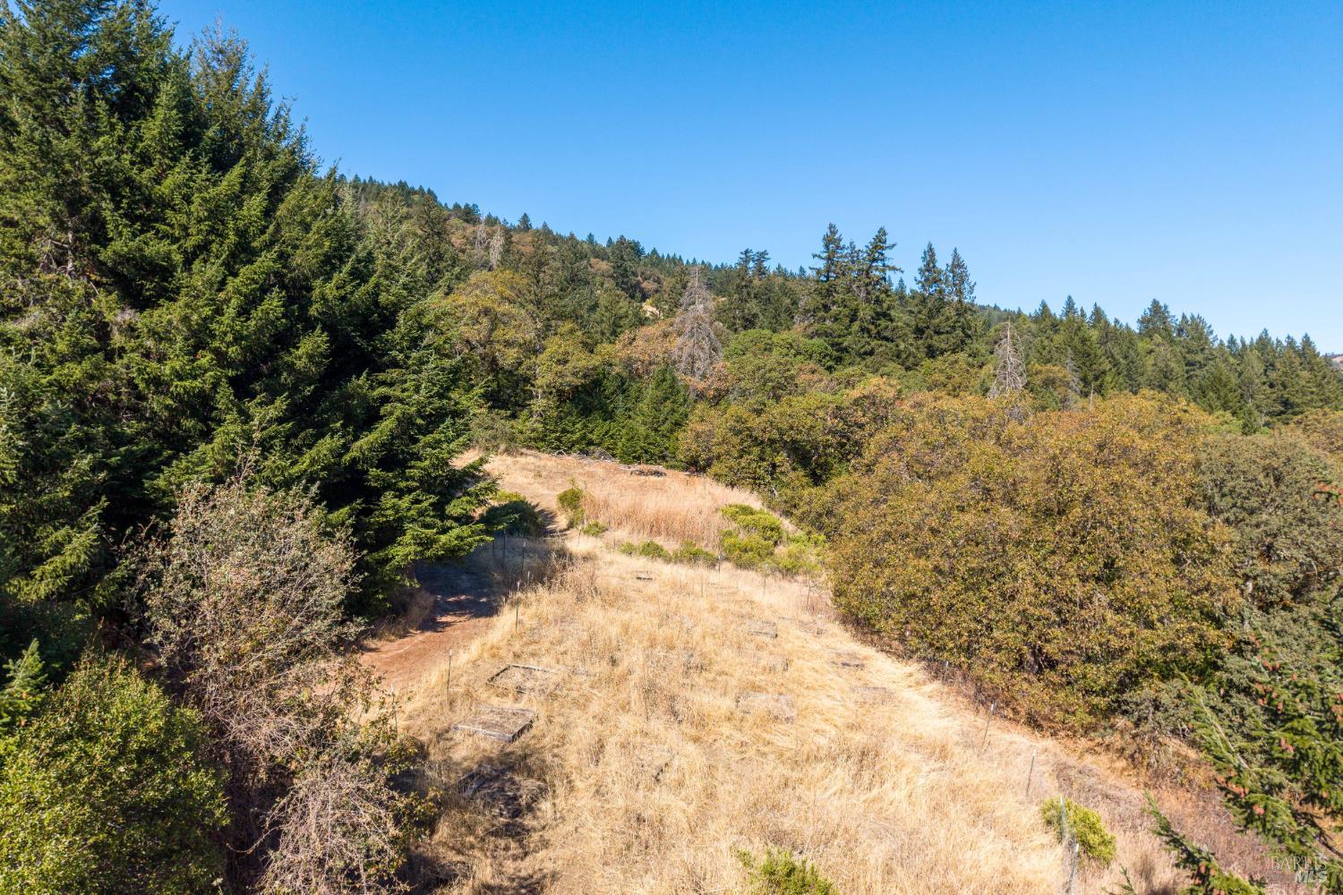 7181 Robinson Creek Road Ukiah CA 95482