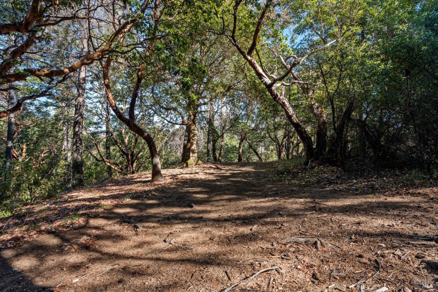 7181 Robinson Creek Road Ukiah CA 95482
