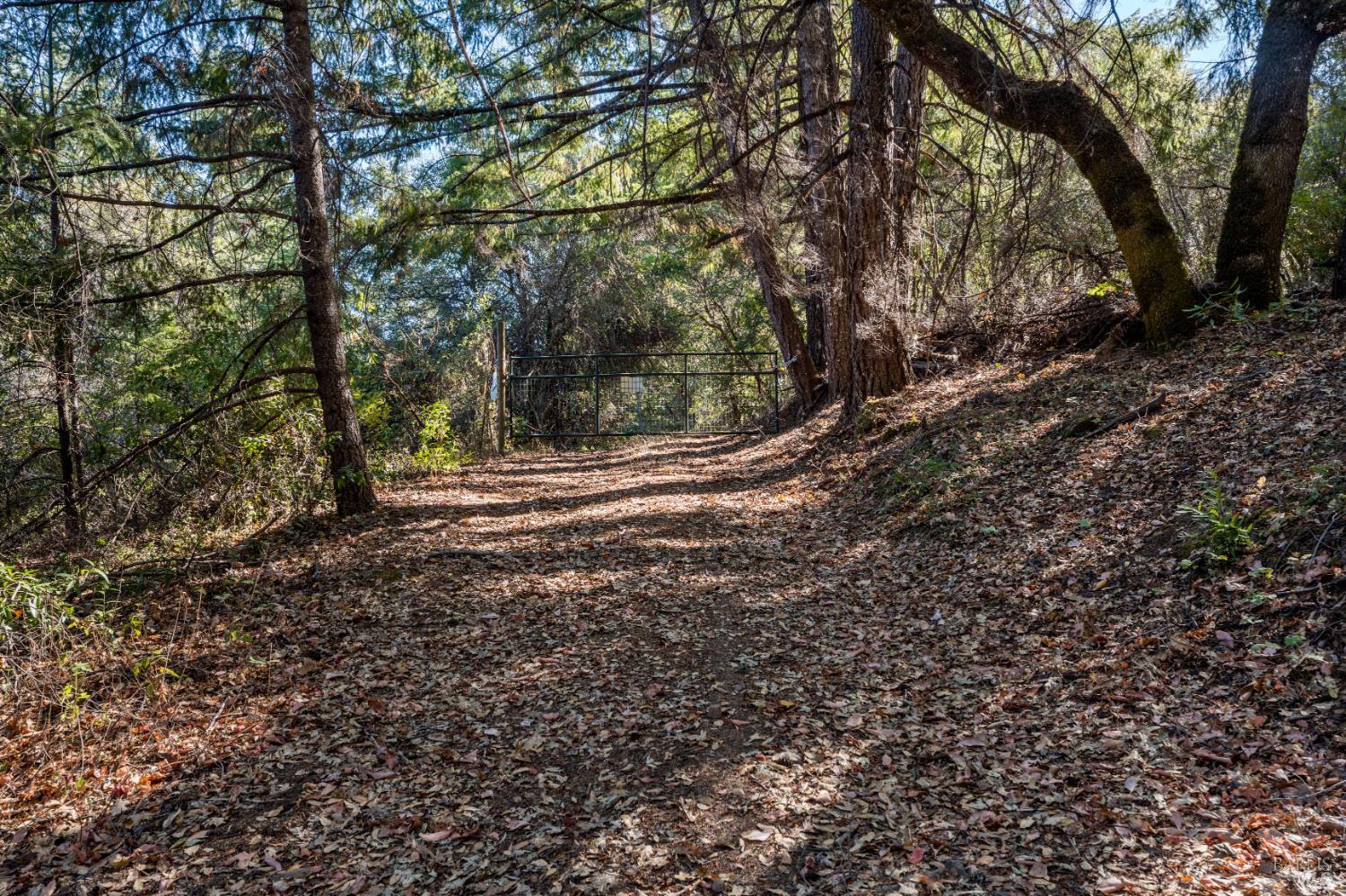 7181 Robinson Creek Road Ukiah CA 95482