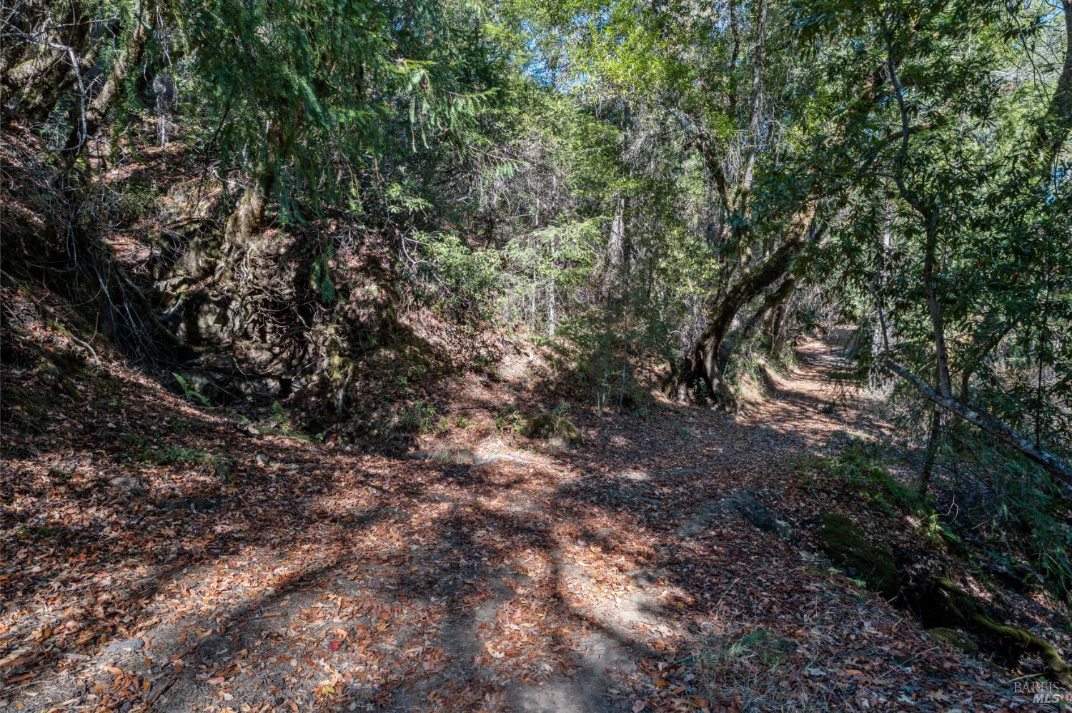 7181 Robinson Creek Road Ukiah CA 95482