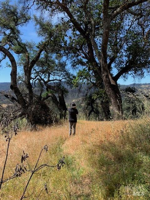2100 Big Ridge Road Healdsburg CA 95448