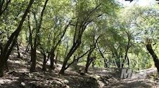 2100 Big Ridge Road Healdsburg CA 95448