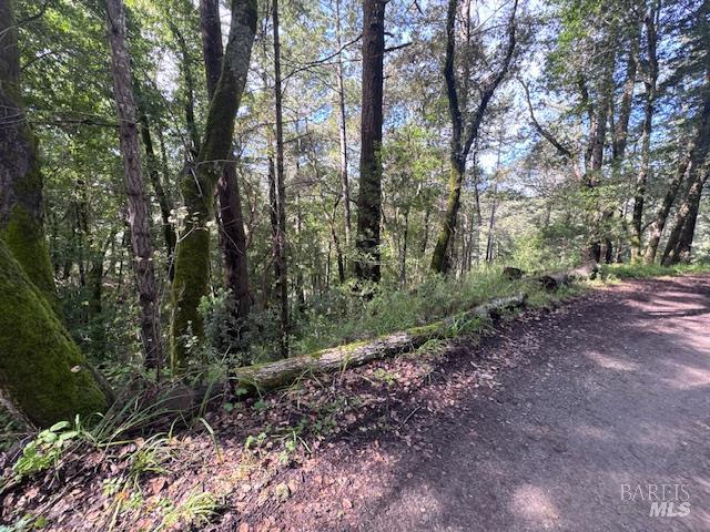 0 Laurel Avenue Woodacre CA 94973