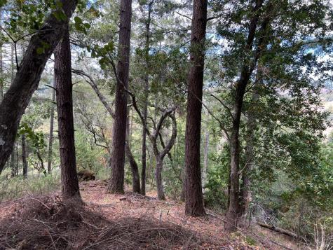 0 Laurel Avenue Woodacre CA 94973