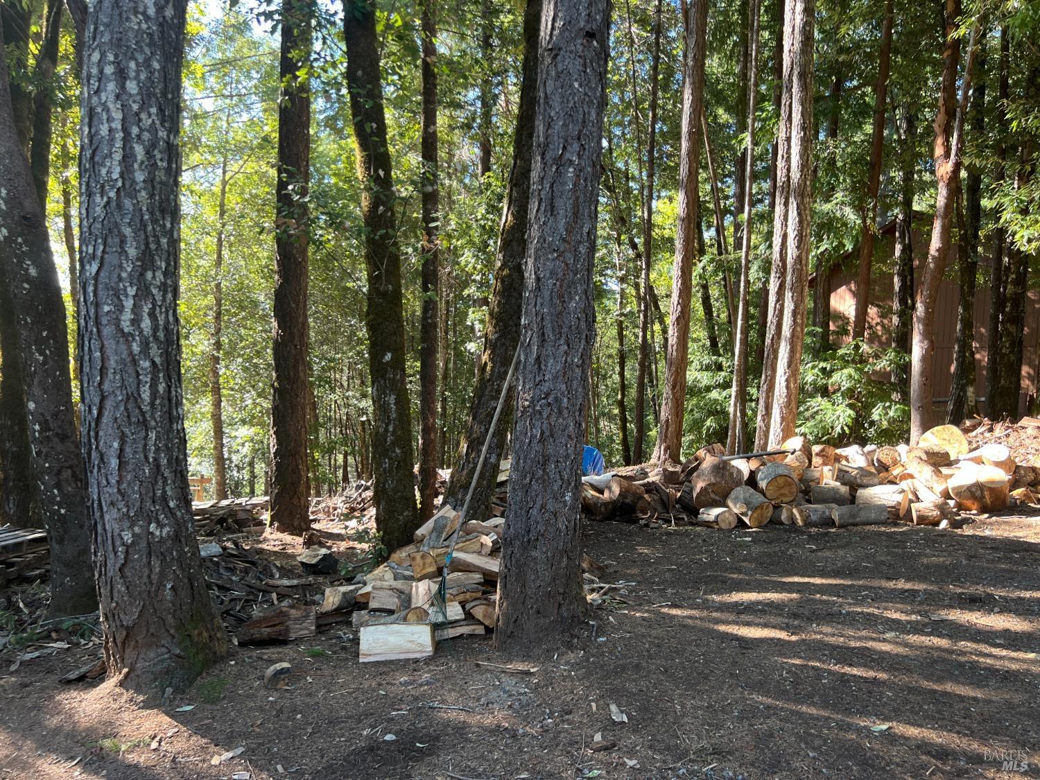 27178 Bear Drive Willits CA 95490