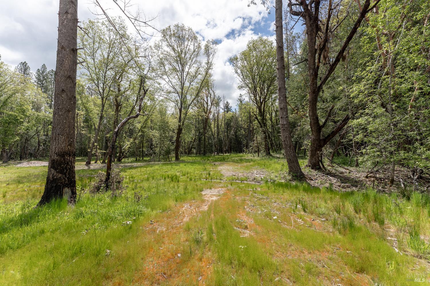 410 Mulligan Lane Laytonville CA 95454