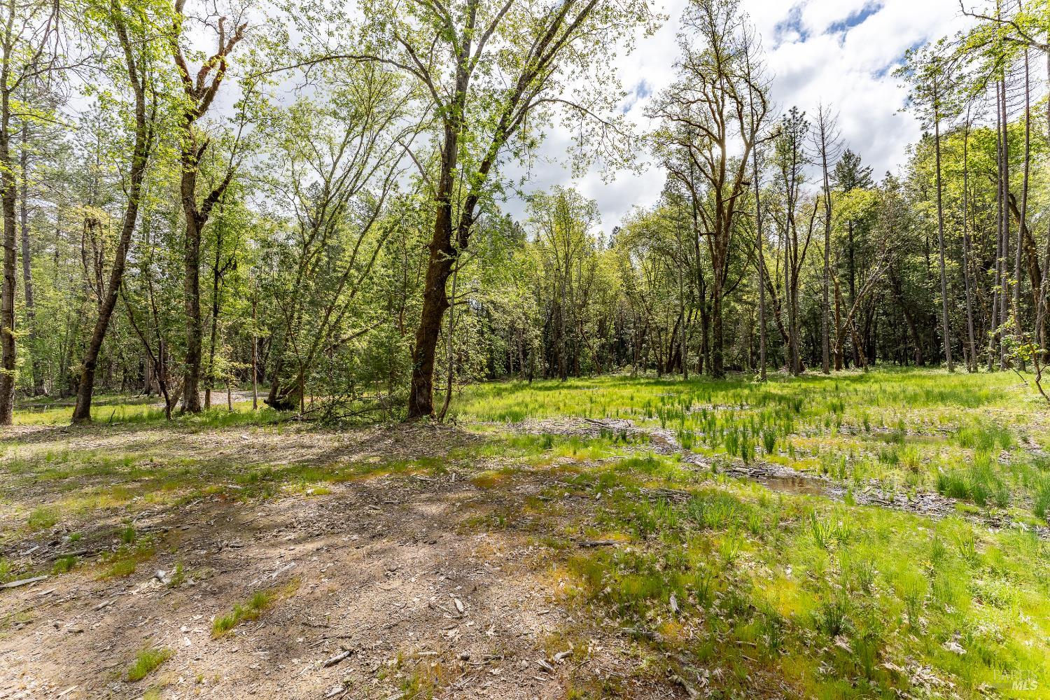 410 Mulligan Lane Laytonville CA 95454