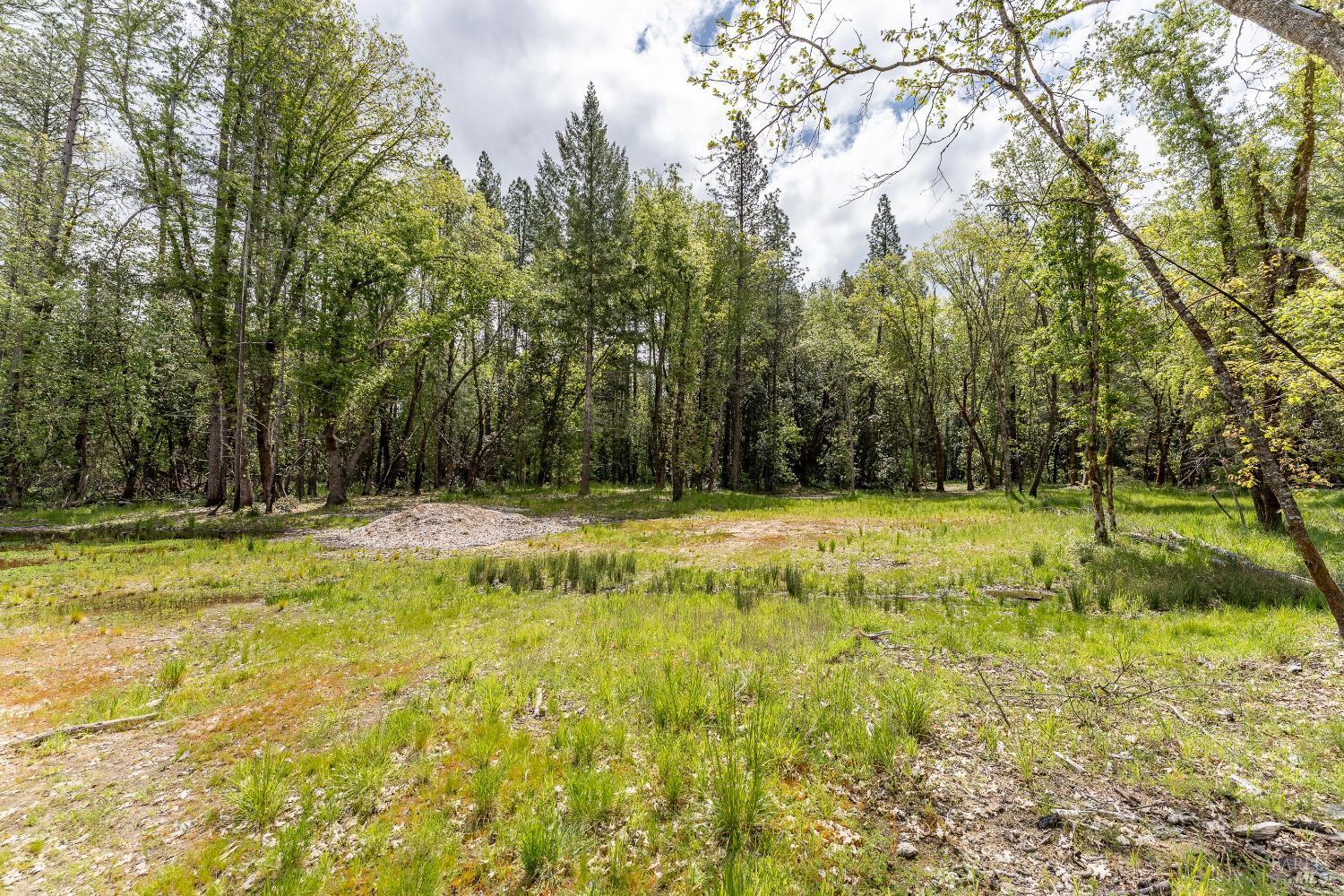 410 Mulligan Lane Laytonville CA 95454