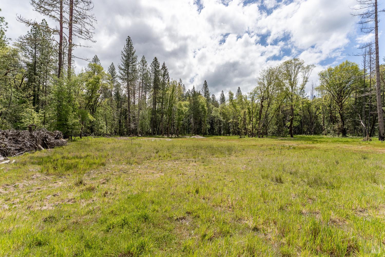 410 Mulligan Lane Laytonville CA 95454
