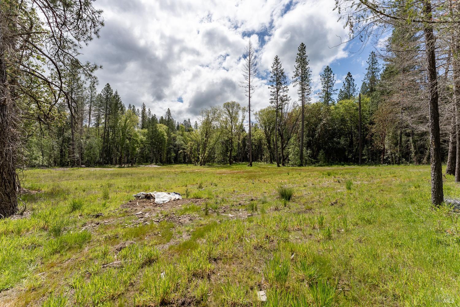 410 Mulligan Lane Laytonville CA 95454