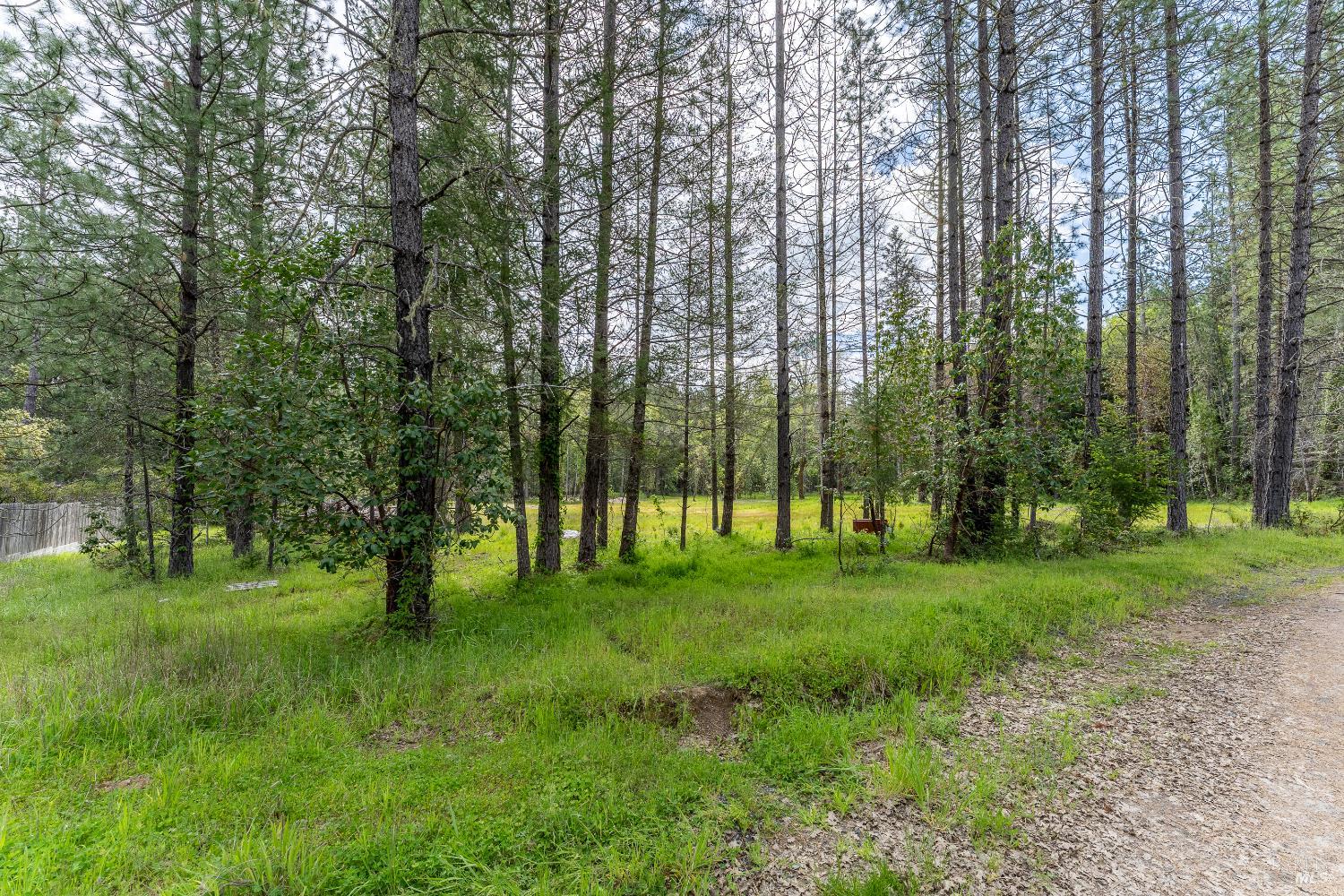 410 Mulligan Lane Laytonville CA 95454