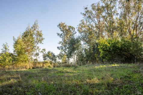 2800 Paradise Drive Tiburon CA 94920