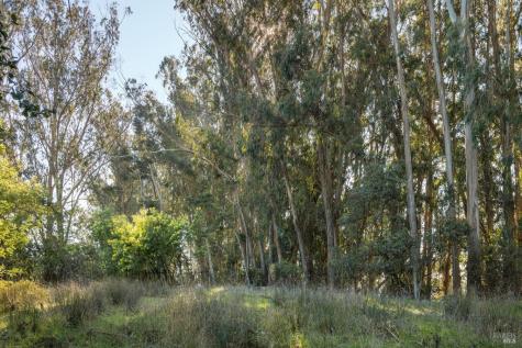 2800 Paradise Drive Tiburon CA 94920
