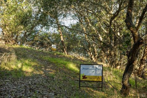 2800 Paradise Drive Tiburon CA 94920