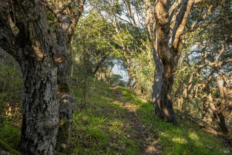 2800 Paradise Drive Tiburon CA 94920