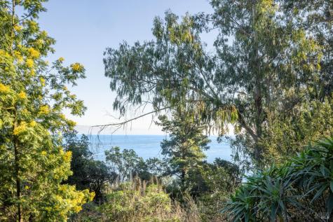 2800 Paradise Drive Tiburon CA 94920