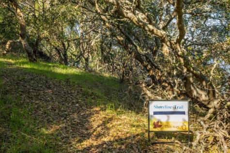 2800 Paradise Drive Tiburon CA 94920