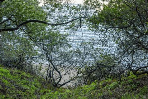 2800 Paradise Drive Tiburon CA 94920