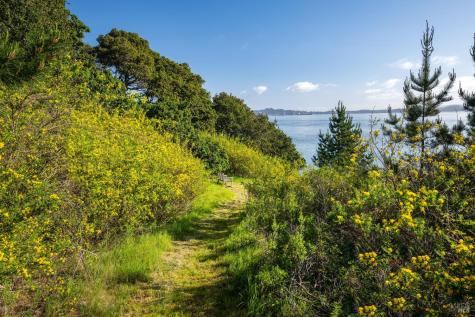 2800 Paradise Drive Tiburon CA 94920
