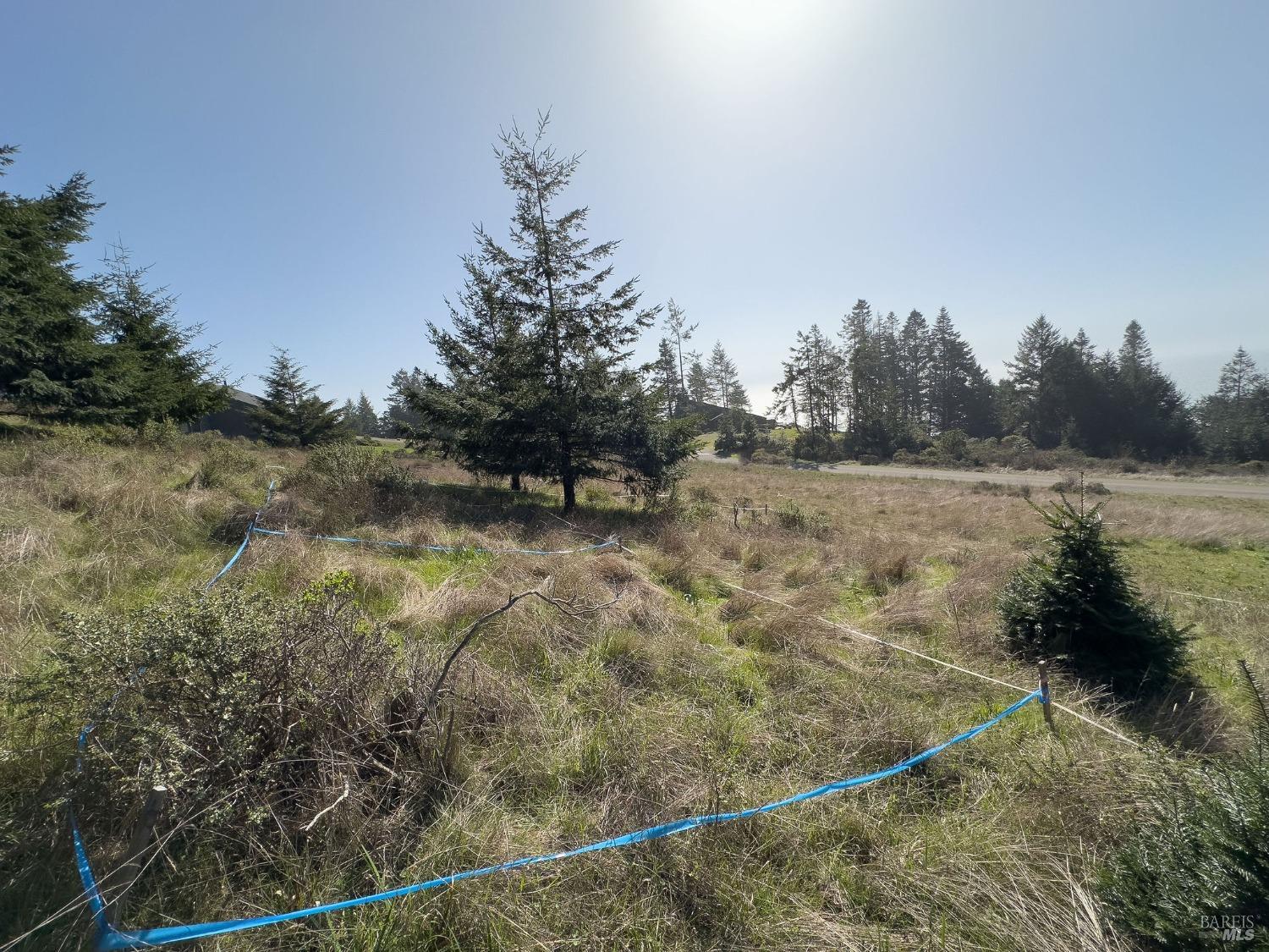 36964 Greencroft The Sea Ranch CA 95497