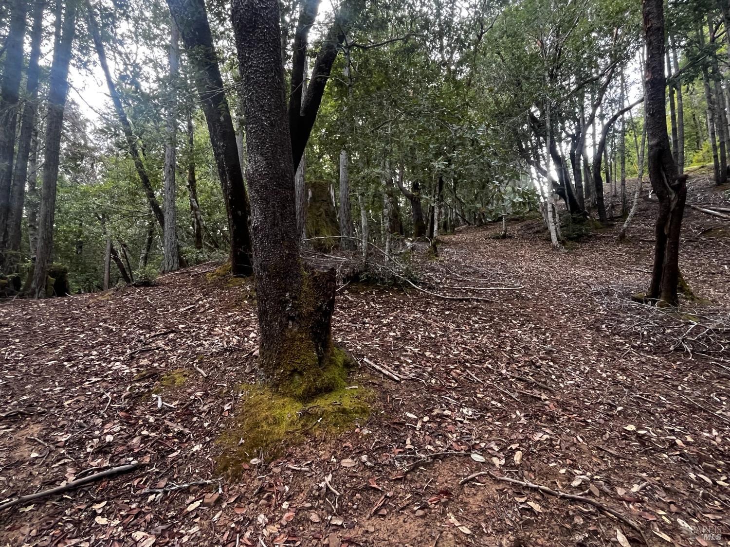 1921 Clover Drive Willits CA 95490