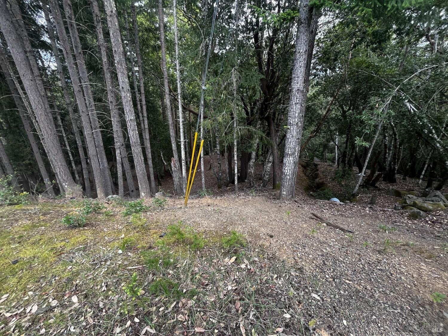 1921 Clover Drive Willits CA 95490