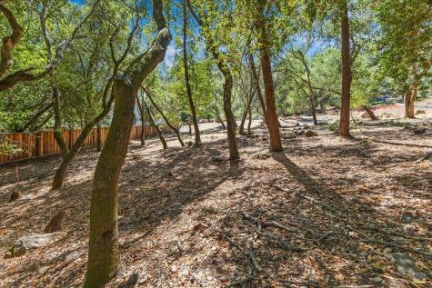 796 Los Olivos Road Santa Rosa CA 95404