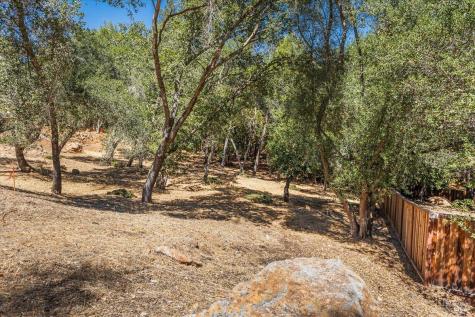 796 Los Olivos Road Santa Rosa CA 95404