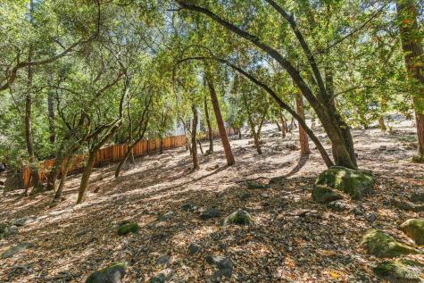 796 Los Olivos Road Santa Rosa CA 95404