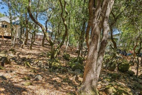 796 Los Olivos Road Santa Rosa CA 95404