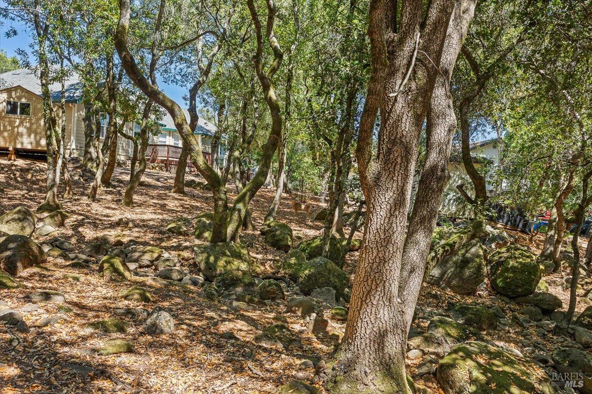 796 Los Olivos Road Santa Rosa CA 95404