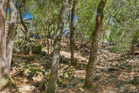 796 Los Olivos Road Santa Rosa CA 95404