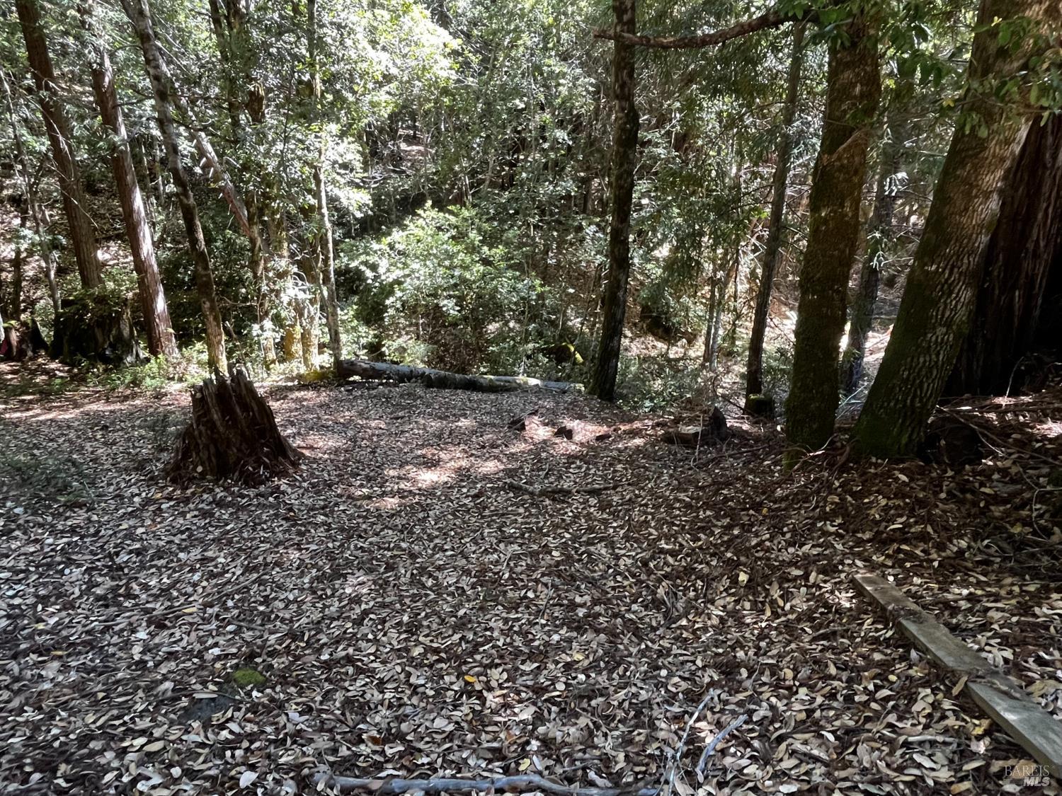 24413 Rose Terrace Willits CA 95490