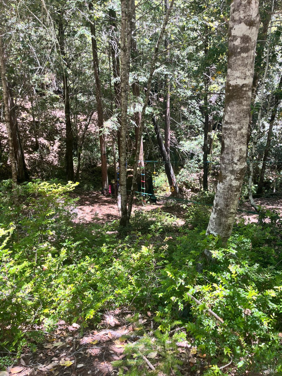 24413 Rose Terrace Willits CA 95490